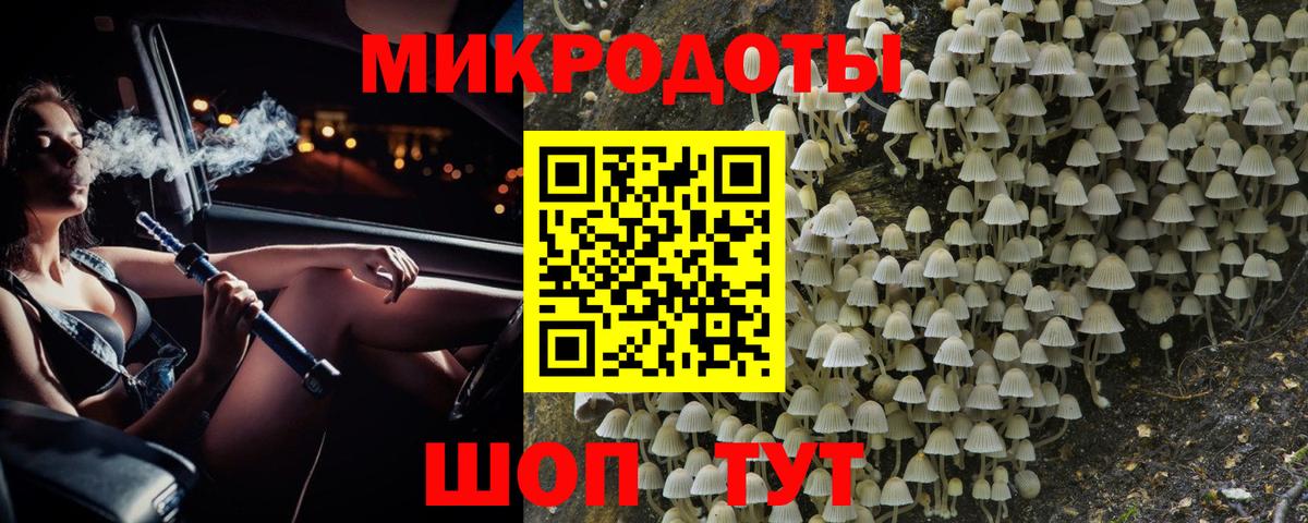 Галлюциногенные грибы Cubensis  Вход с VPN  Анжеро-Судженск 